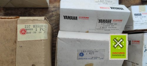 IMG_20230828_110559